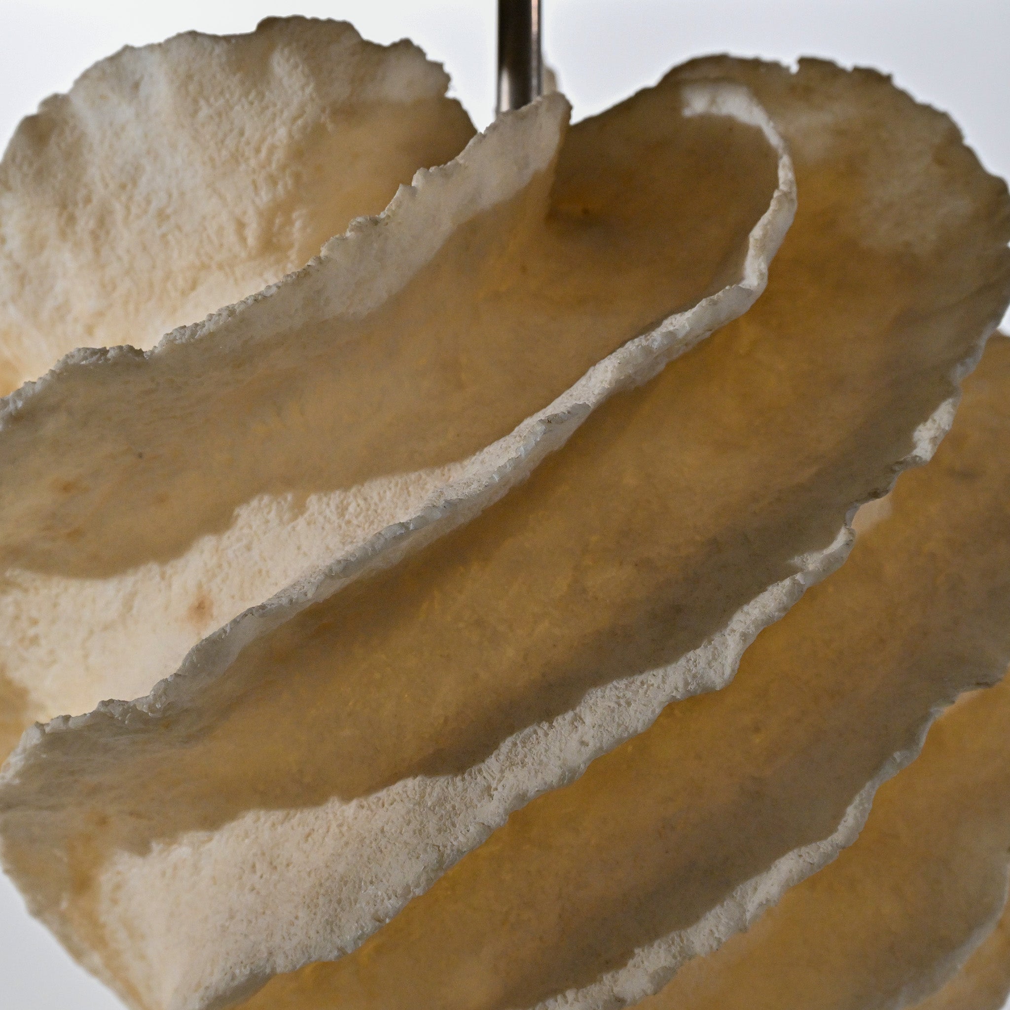 Sculptural Off-White Coral-Form Table Lamp